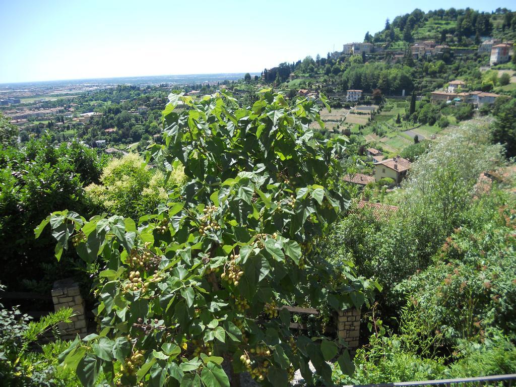 Bed & Breakfast A Casa Mia Bergamo Exterior photo